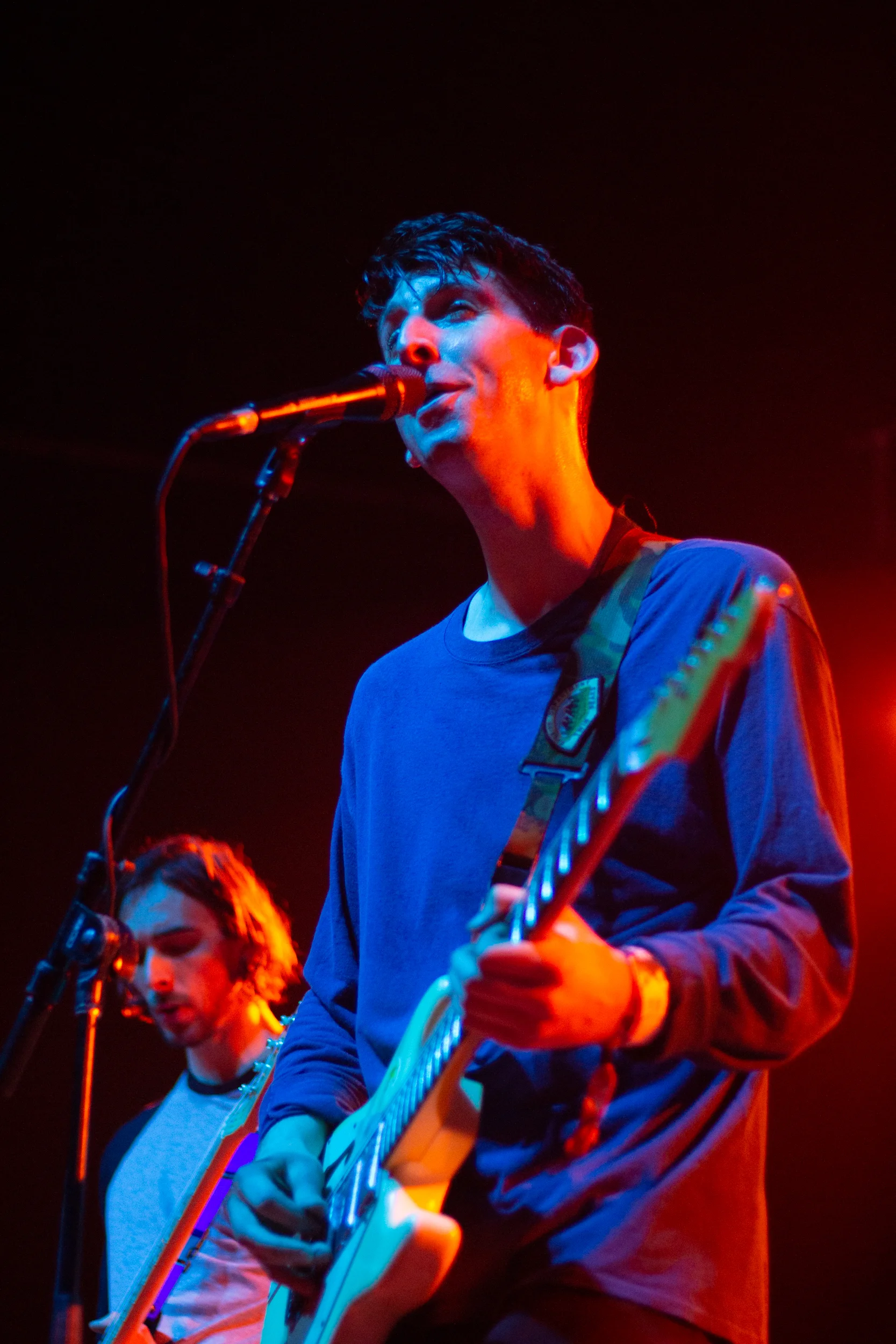 tigersjawweb-7.jpg