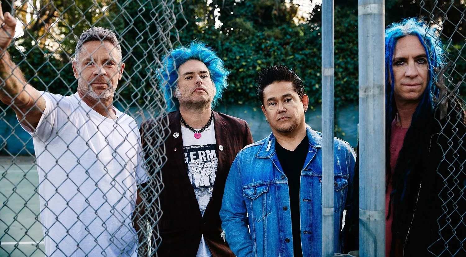 Episode #191: Punks, Birds and Melvins episode artwork