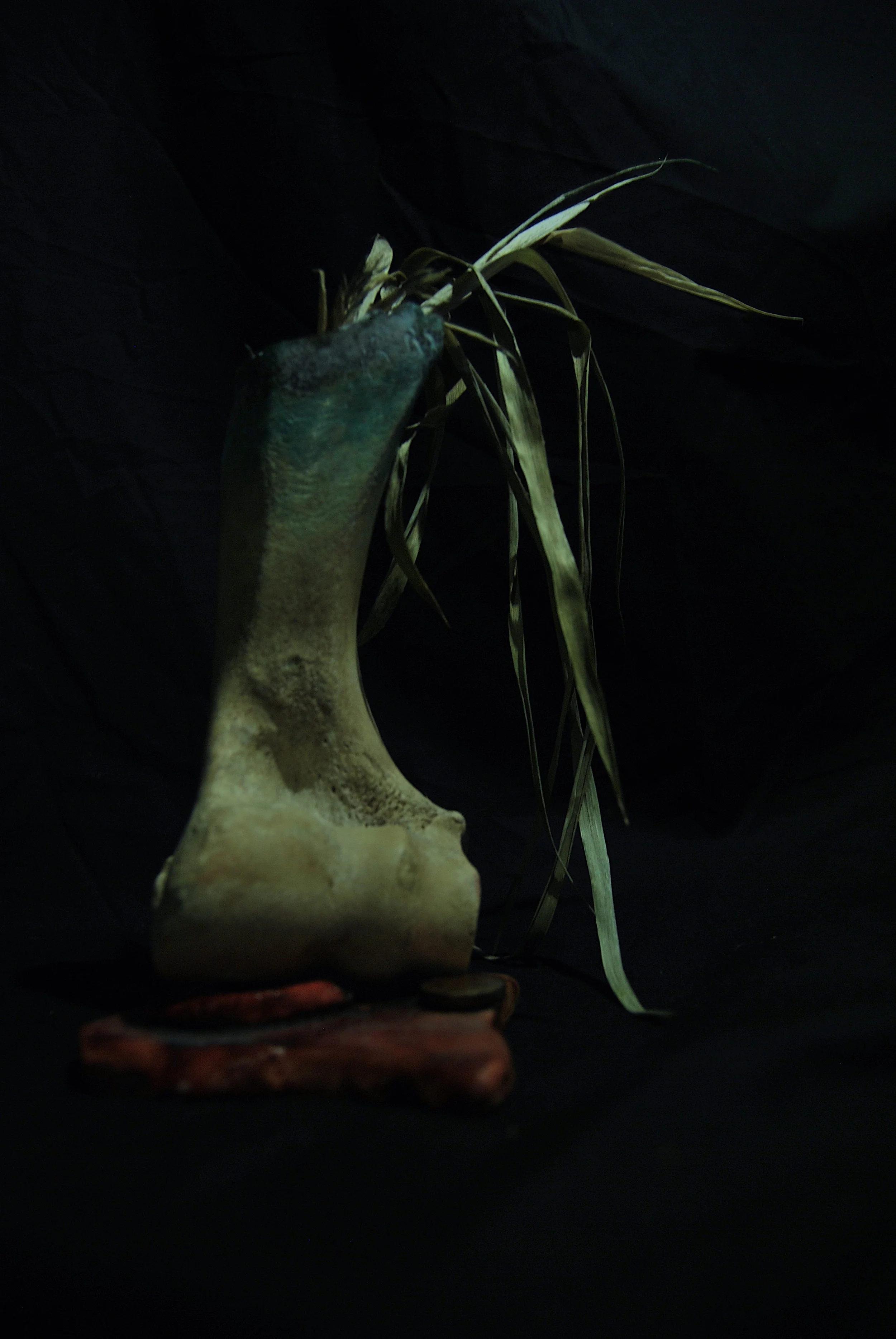 Summer Snow. Winter Skies. First Day of Spring.