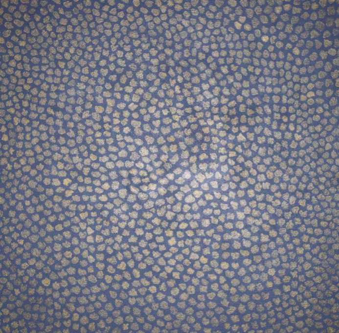Picture 1.png