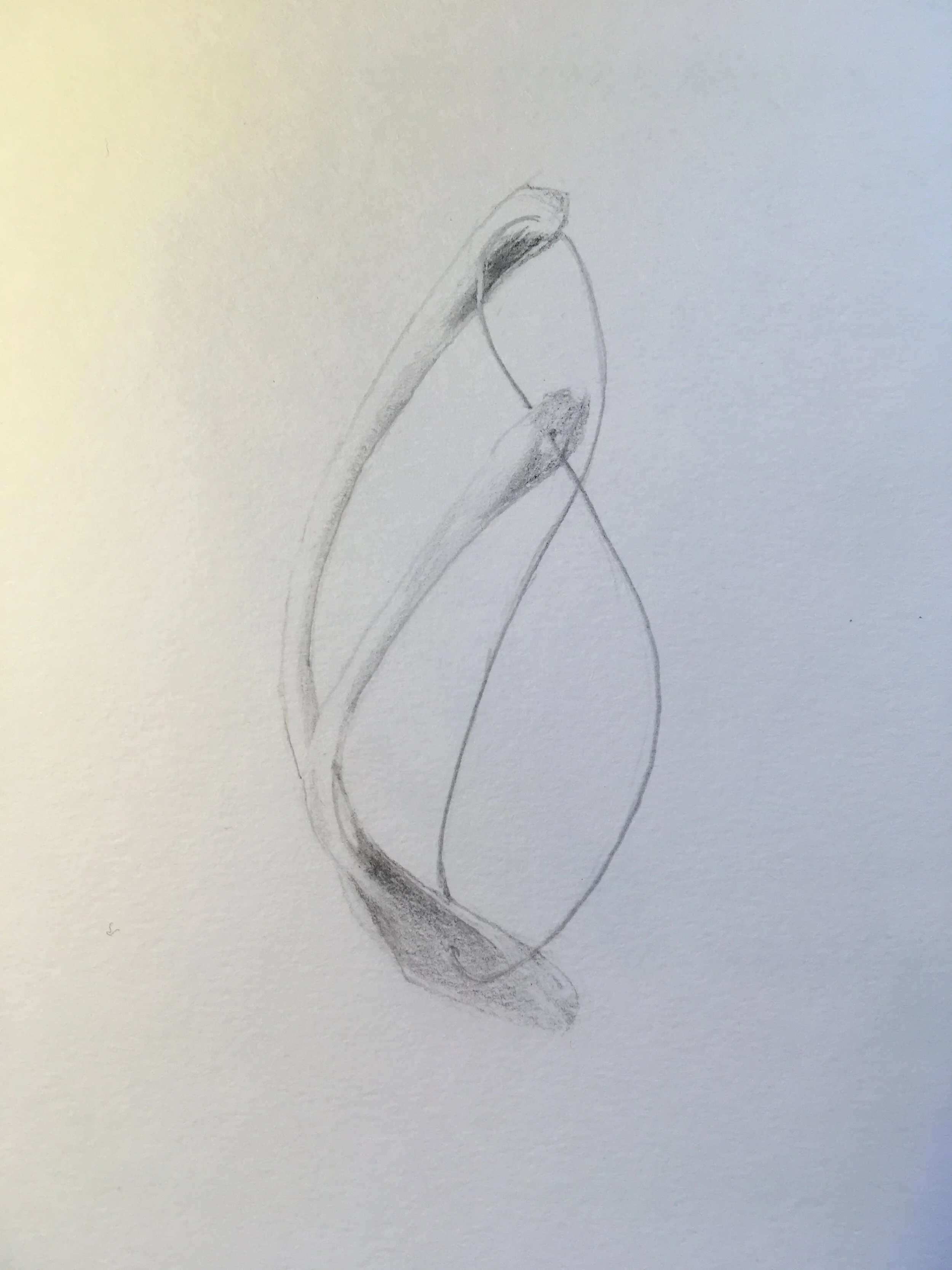 LOCKDOWN JOURNAL: COVID 19.14 (Lina Bentley)