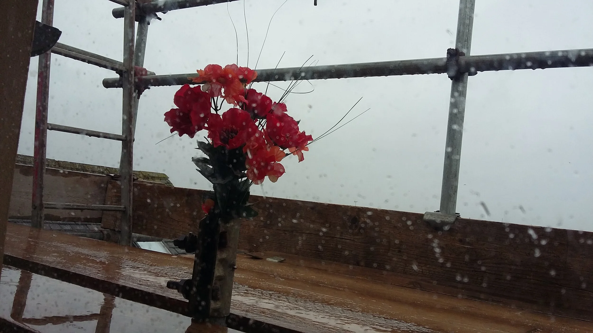 1-Flowers.jpg