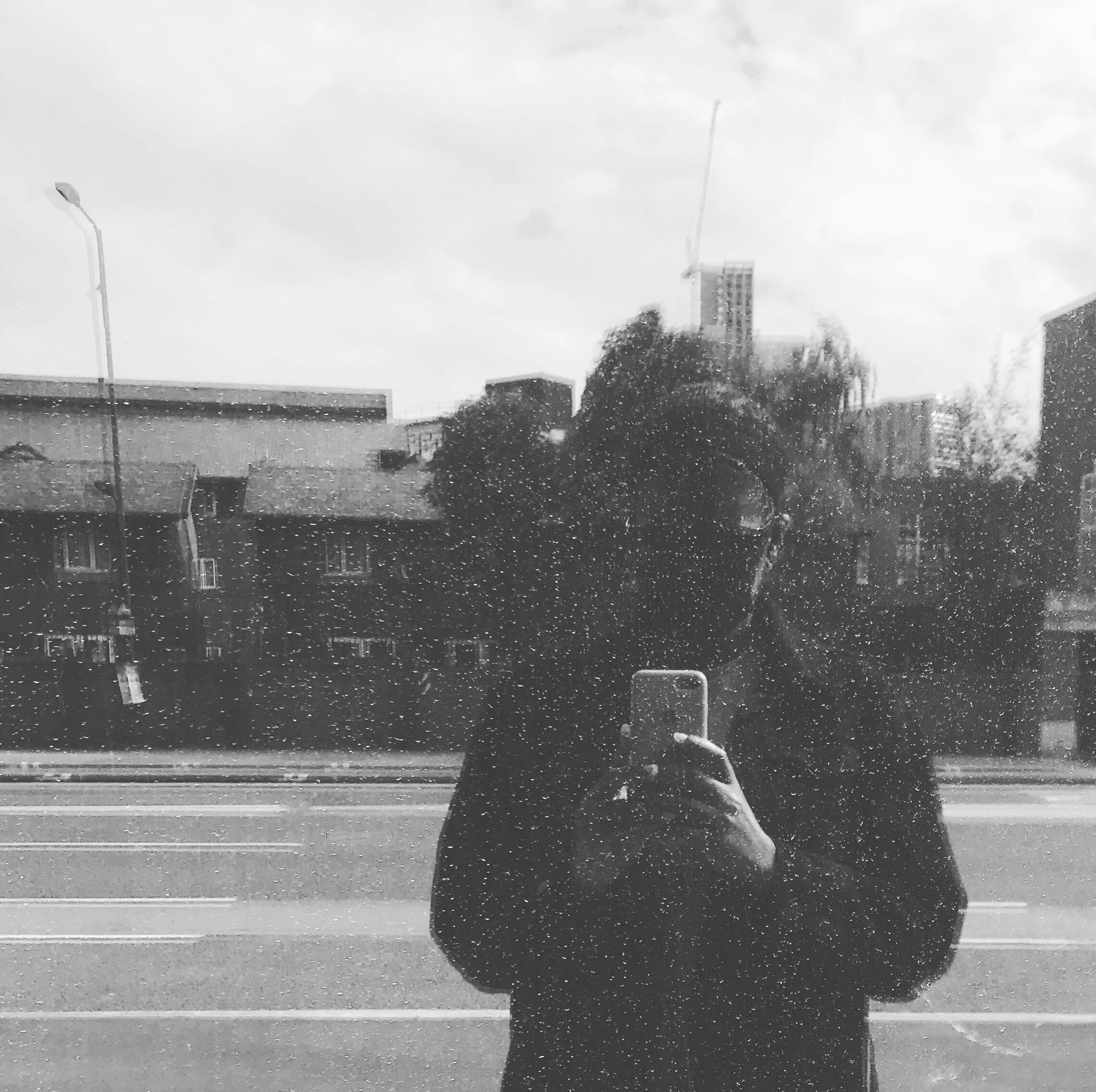 LOCKDOWN JOURNAL: COVID-19.51 (Donna Coleman)