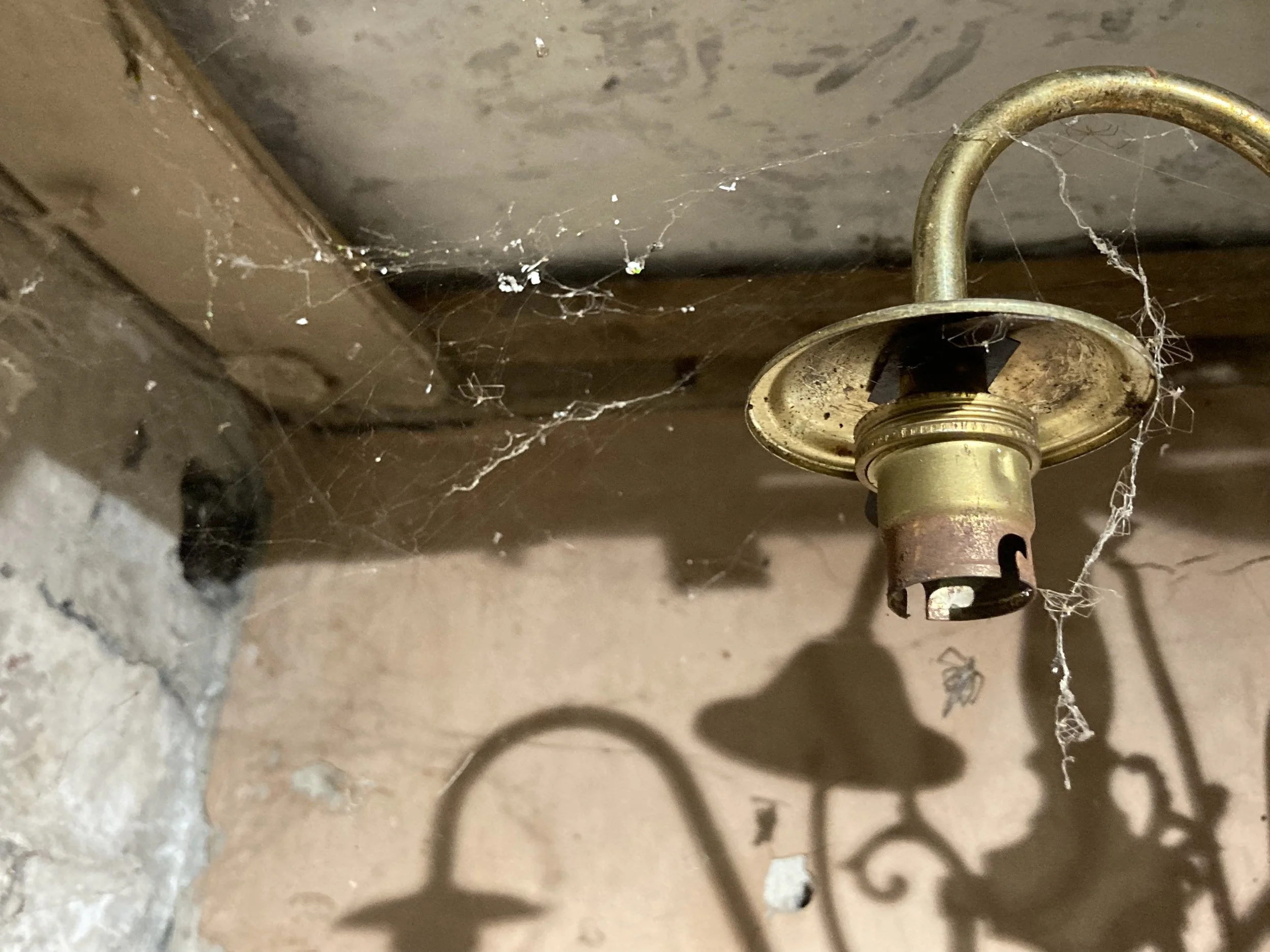 Slit: A Brave New World