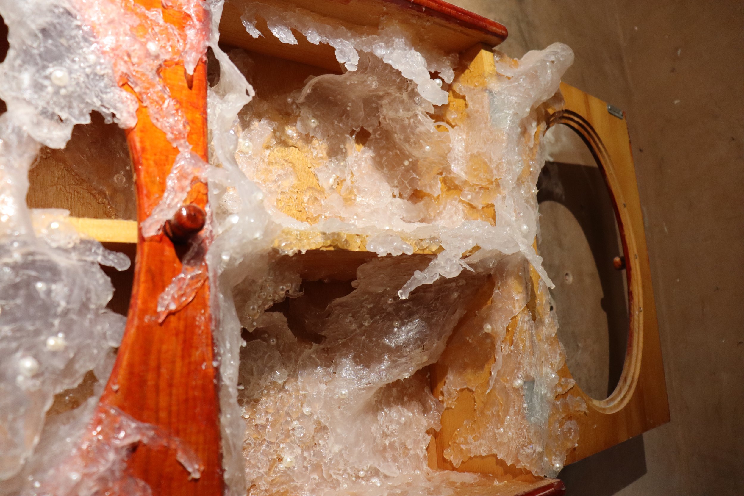 Fray: Exhibition Guide &amp; Text