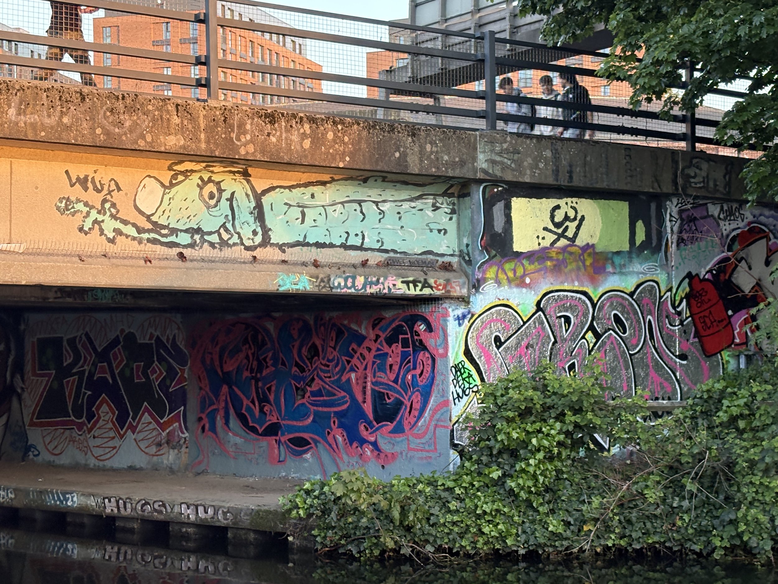 IMG_1813.jpeg