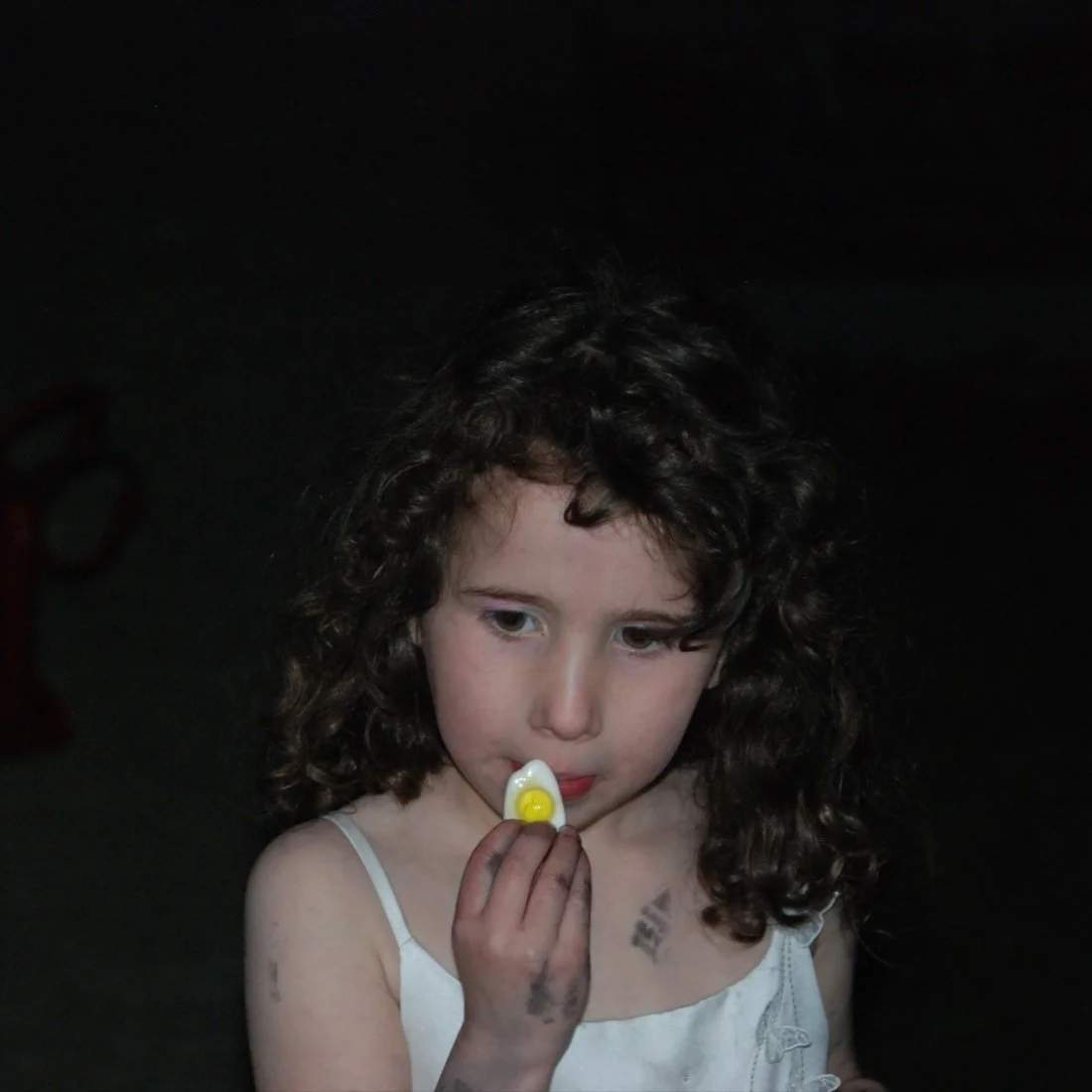 DSC_0528.JPG