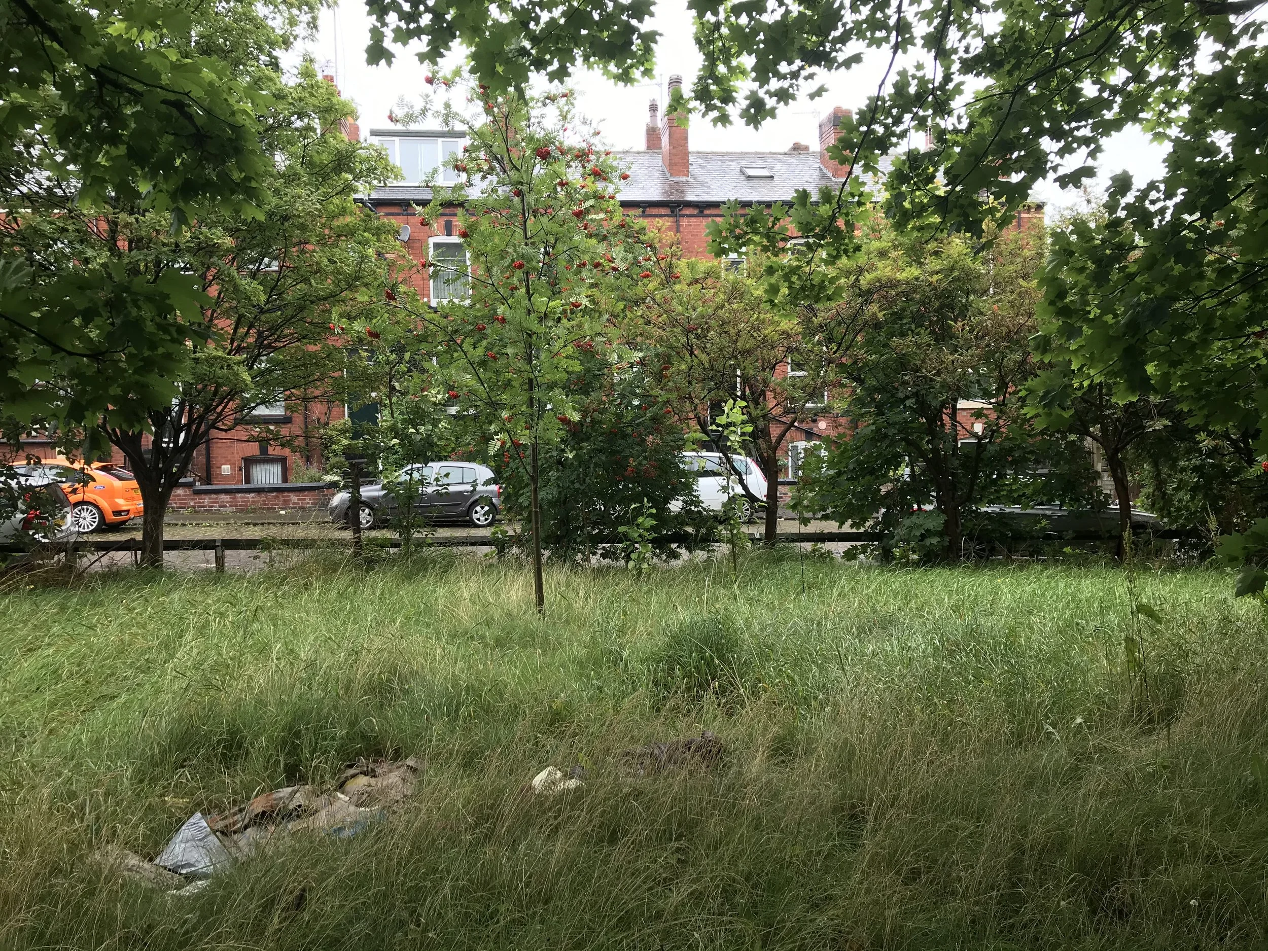 IMG_0707.jpeg