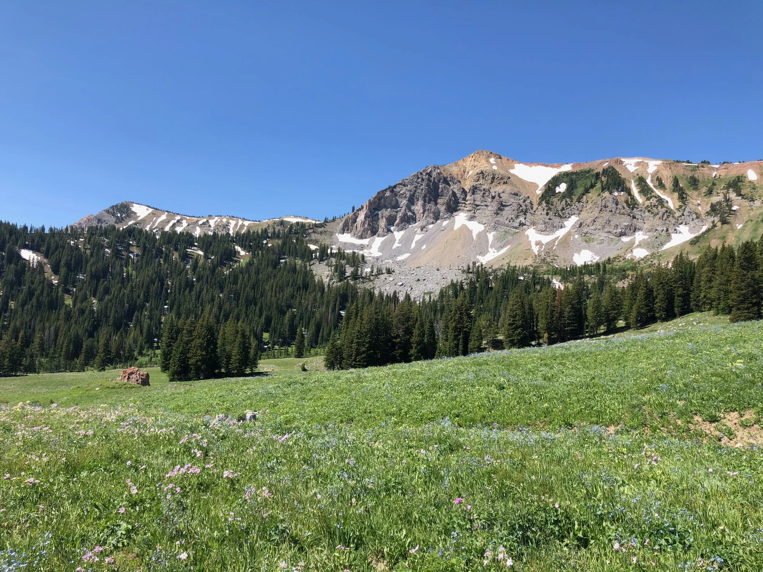 Wyoming Range 100 - Update #5 (7/20)