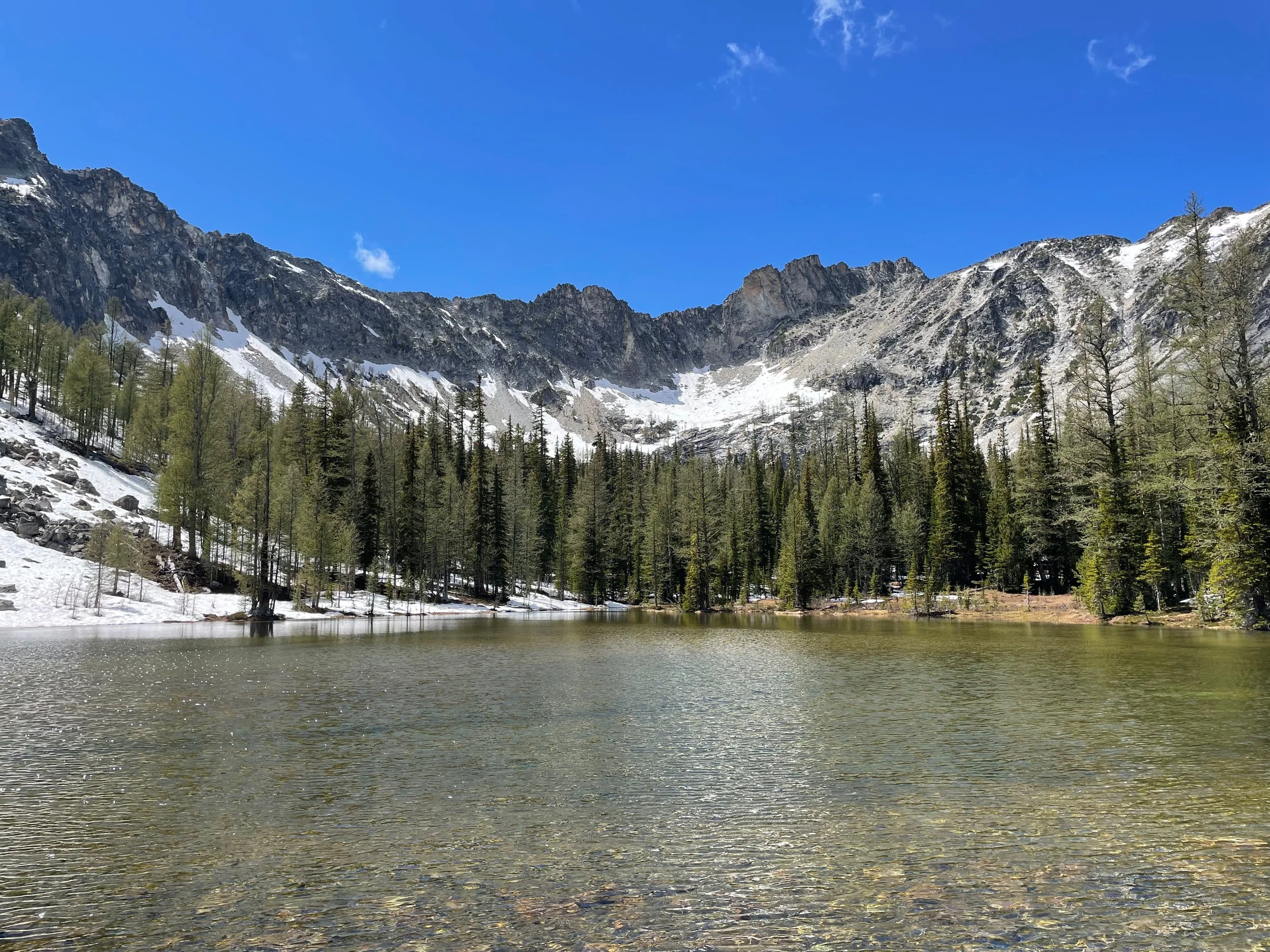 Updates on Sawtooth Ridge 50M — and 50K!