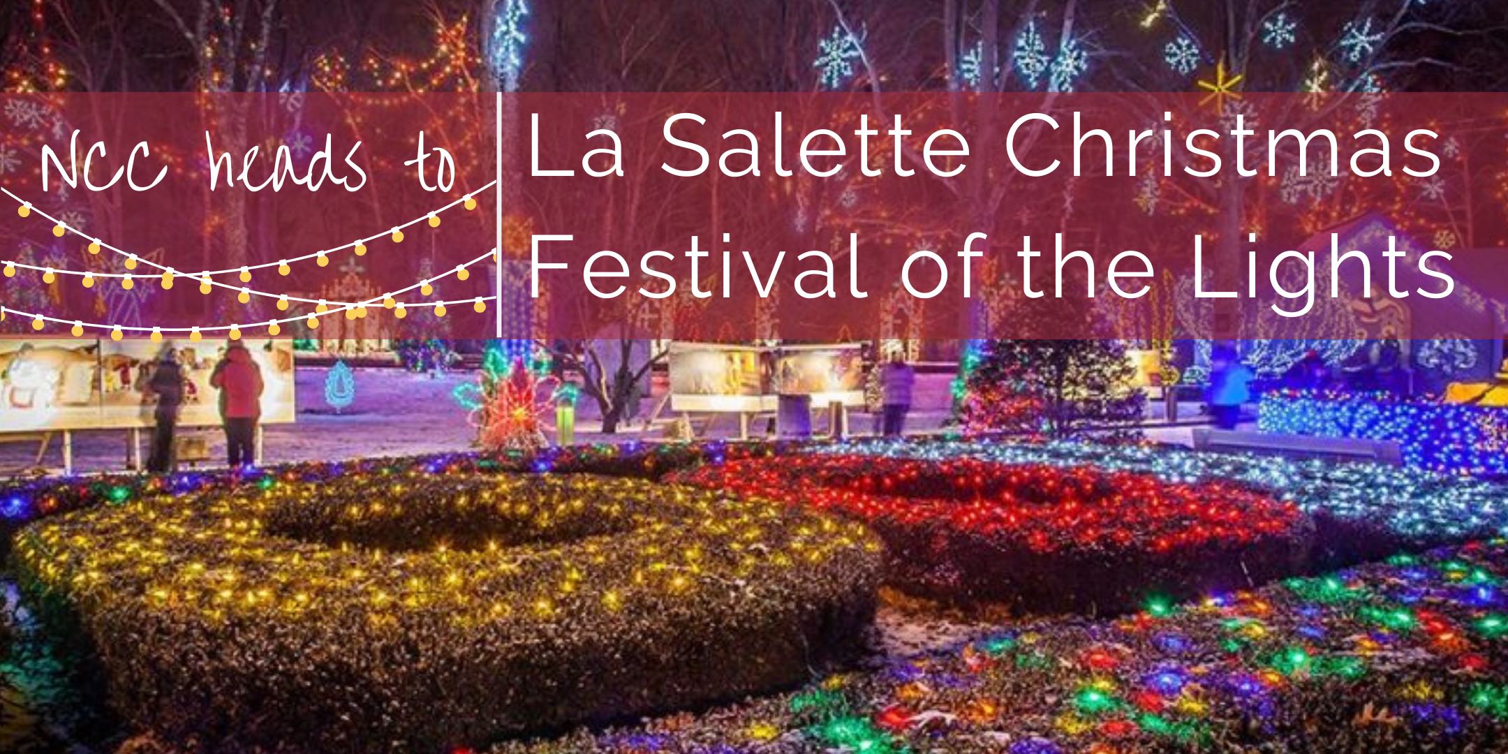 La Salette Christmas Festival of Lights — Norfolk County Catholics