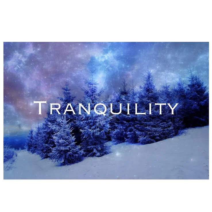 Tranquility Body Oil