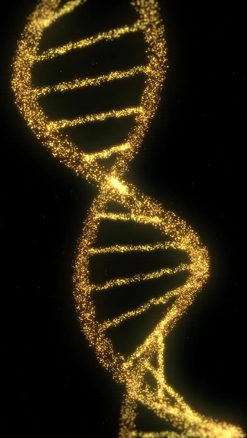 Understanding Cellular Memory, Emotional Imprinting and the Subconscious