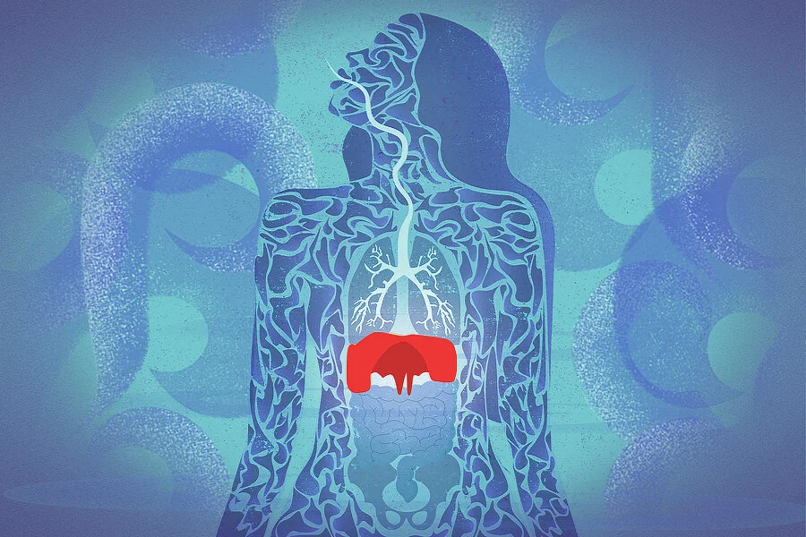 The Essential Role of the Diaphragm in Breathwork