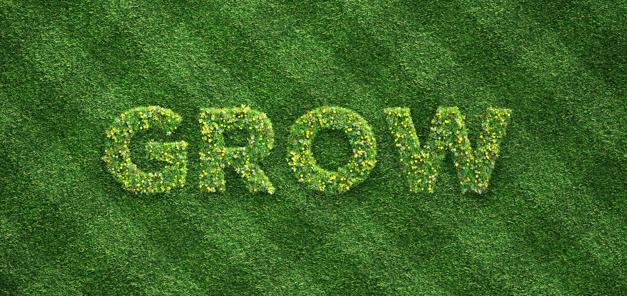 Grow_4K.jpg