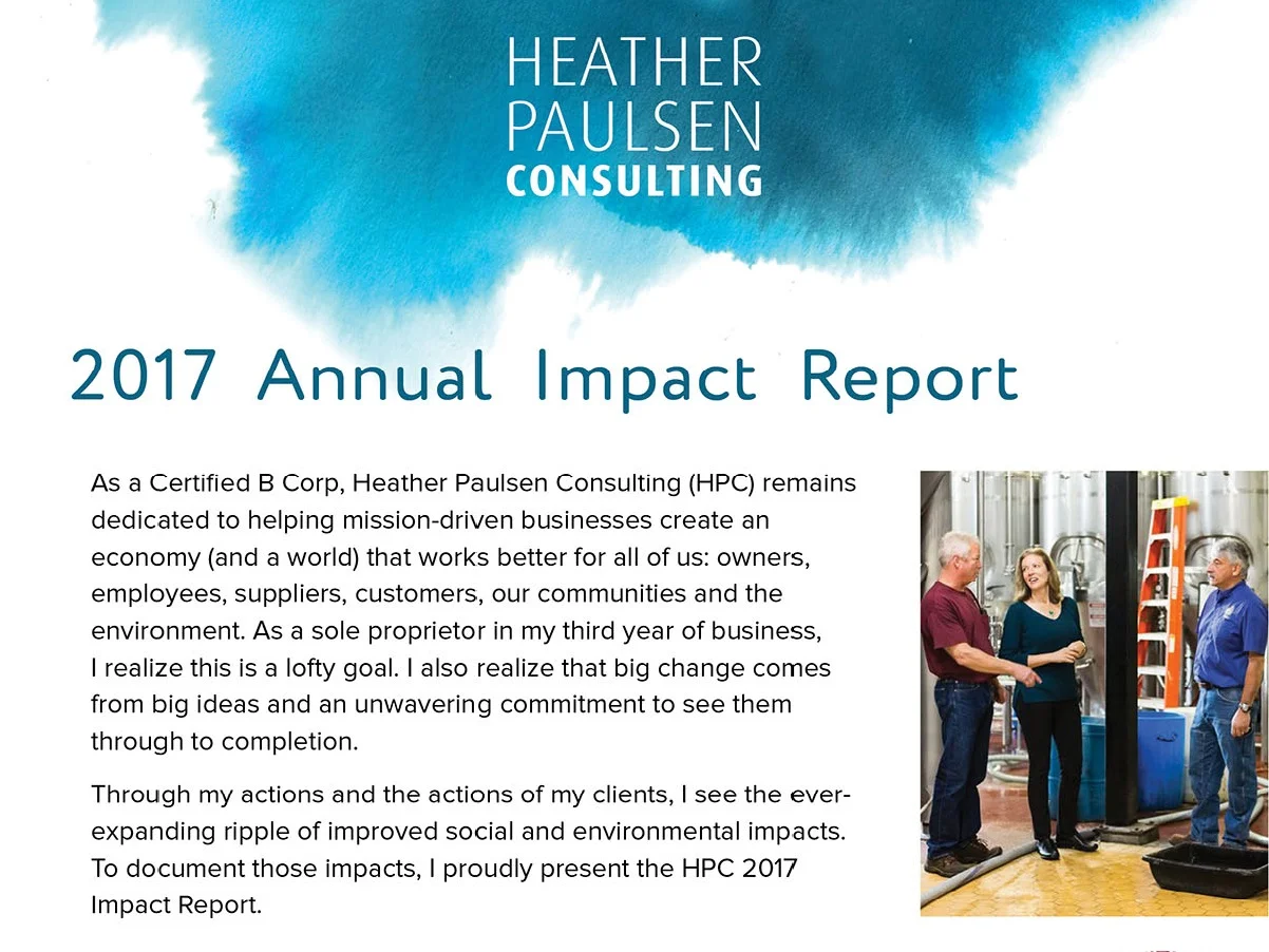 2017 Annual Impact Report