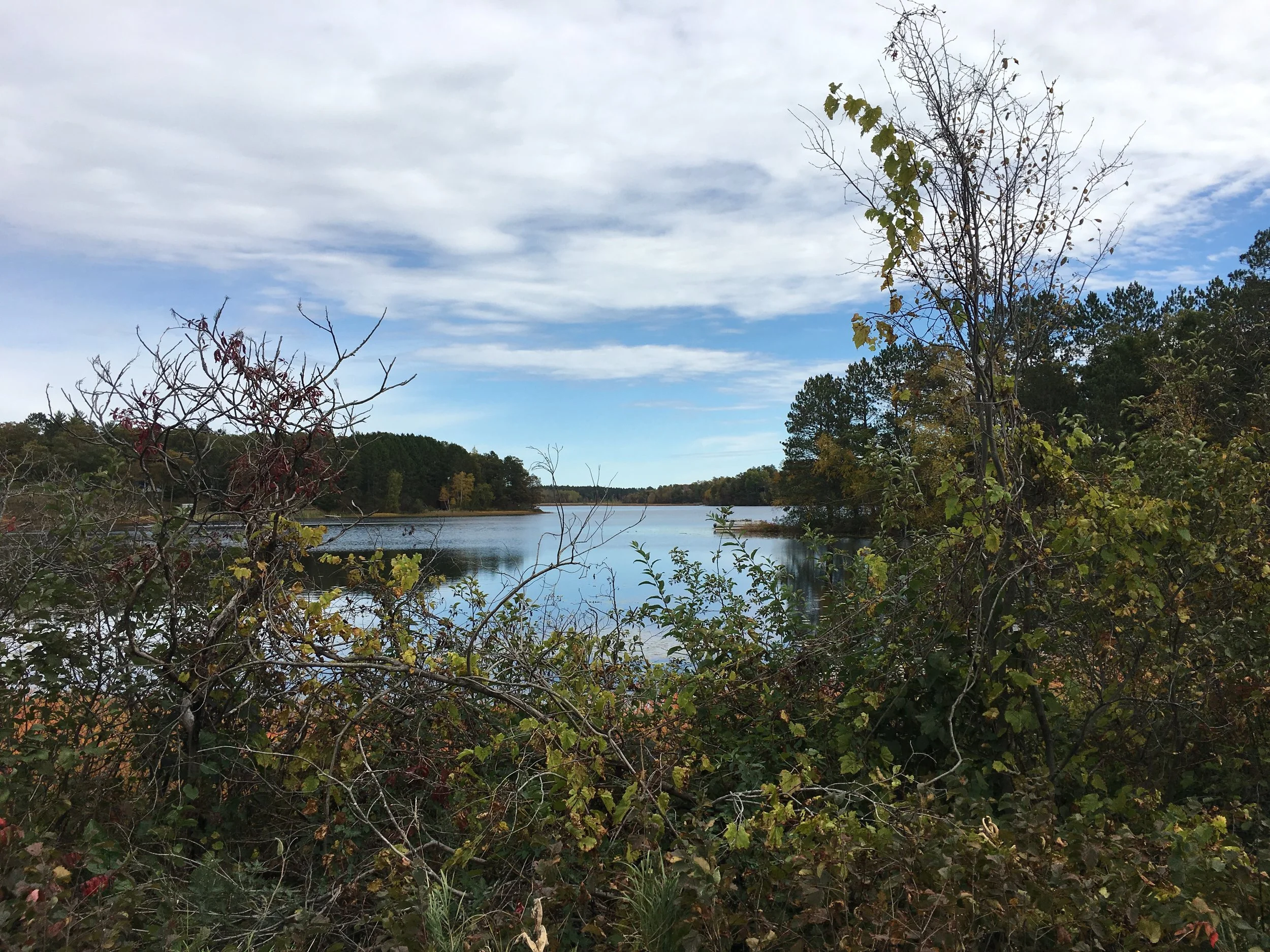 2017-10-09 12.43.22.jpg
