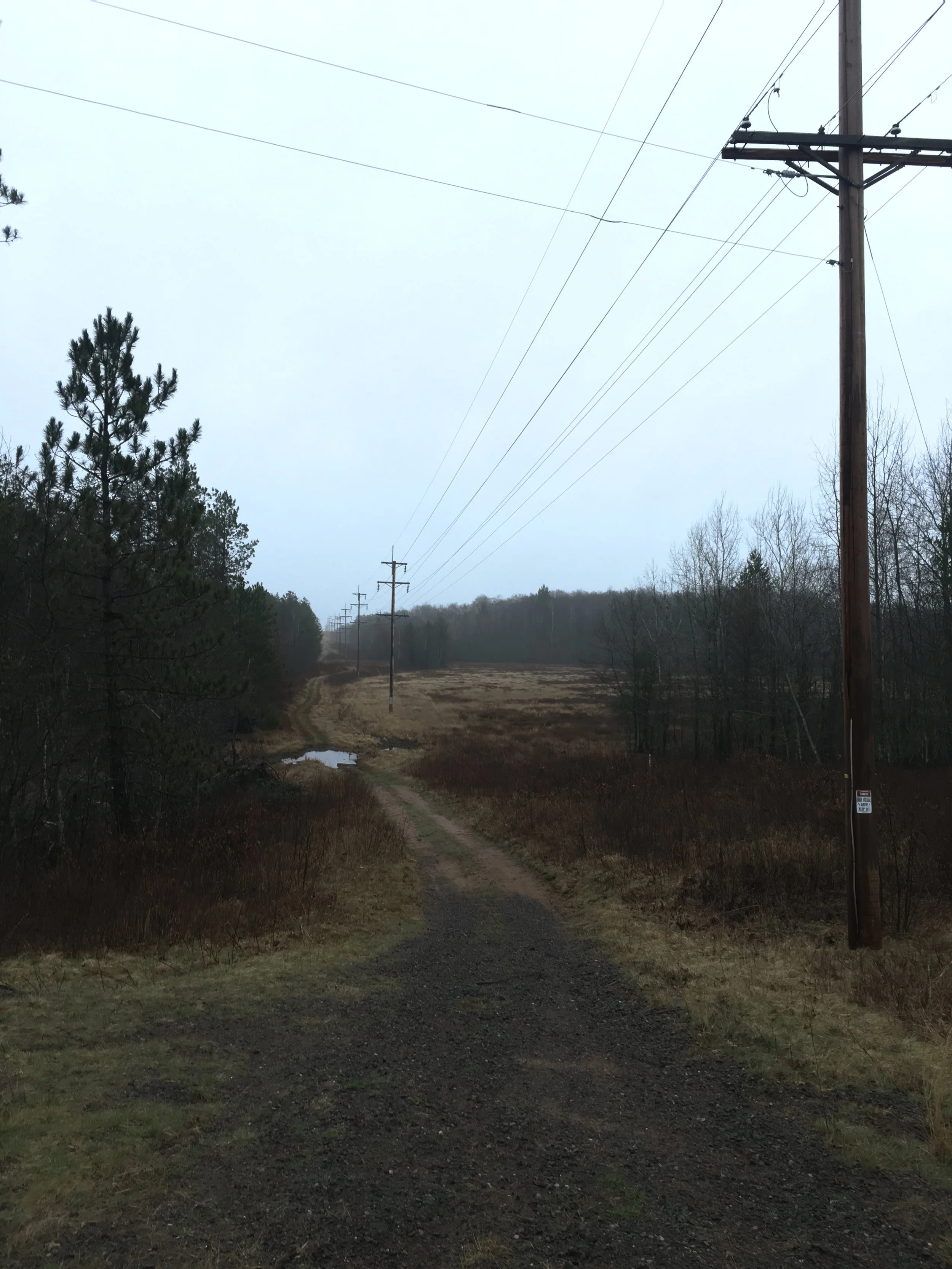 2017-04-20 07.47.35.jpg