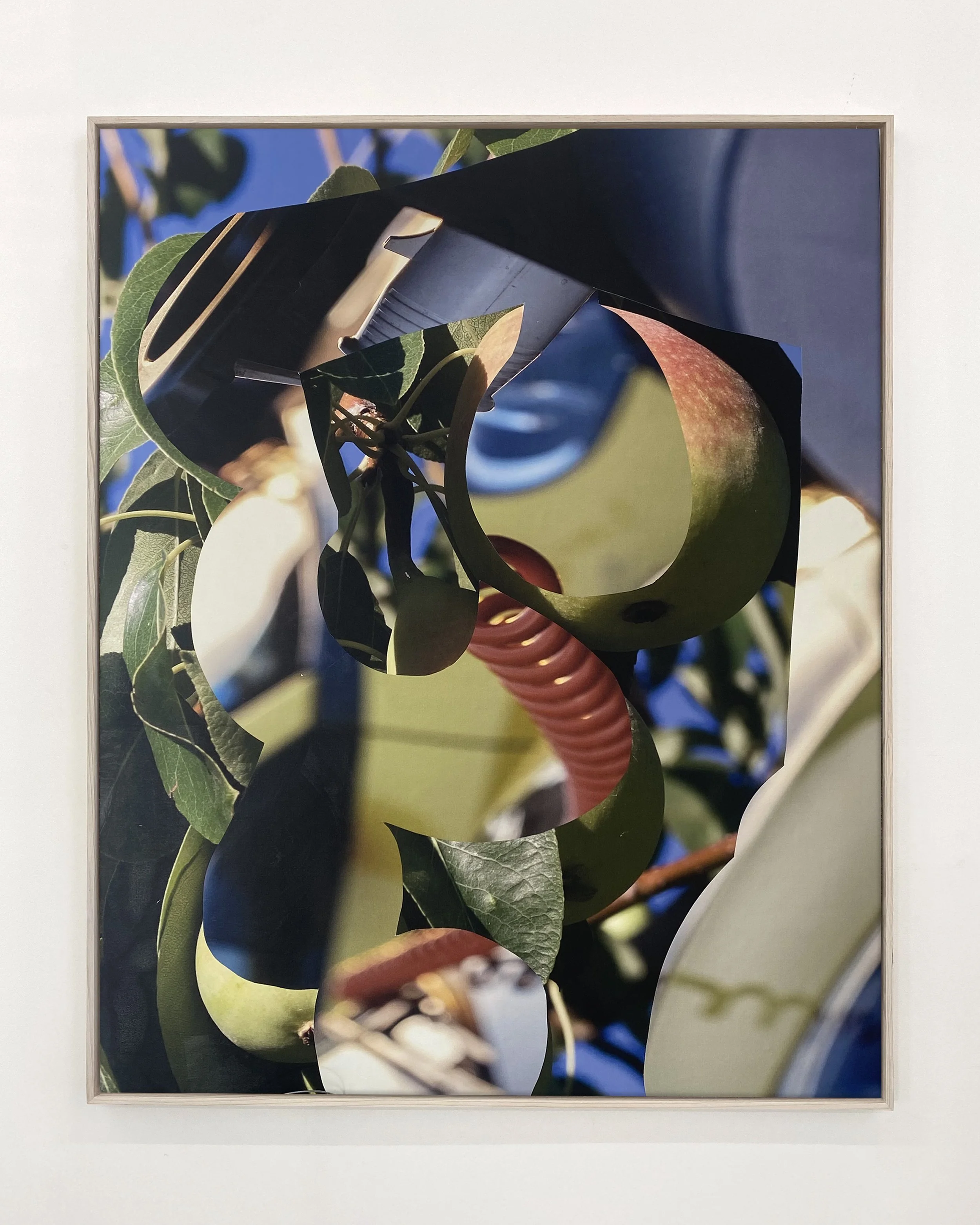 "Pear/Pair", 2023, Inkjet prints on canvas, collage on panel, 48"X60"