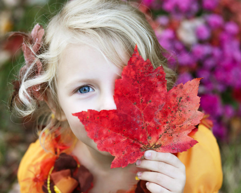back-to-school-language-learning