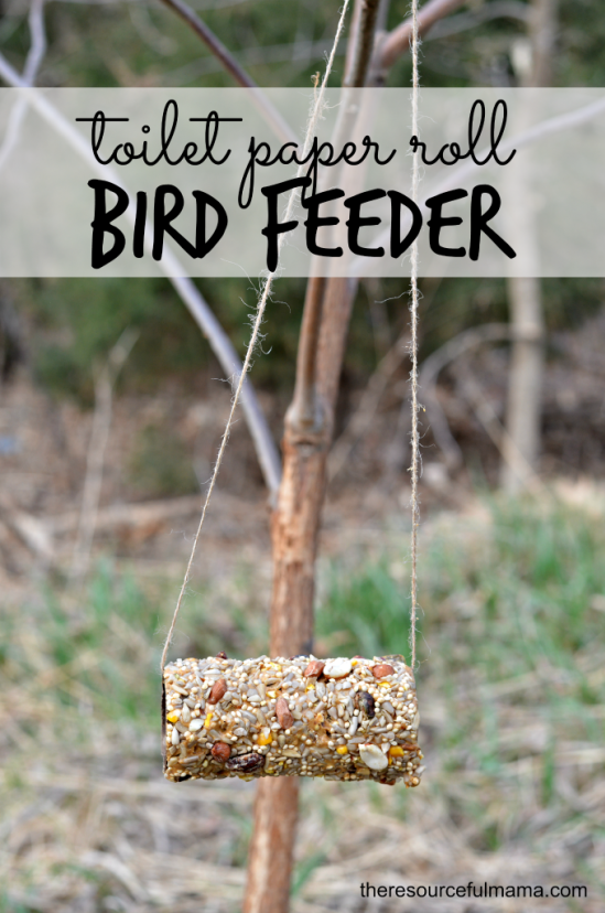toilet-paper-roll-bird-feeders-x-1