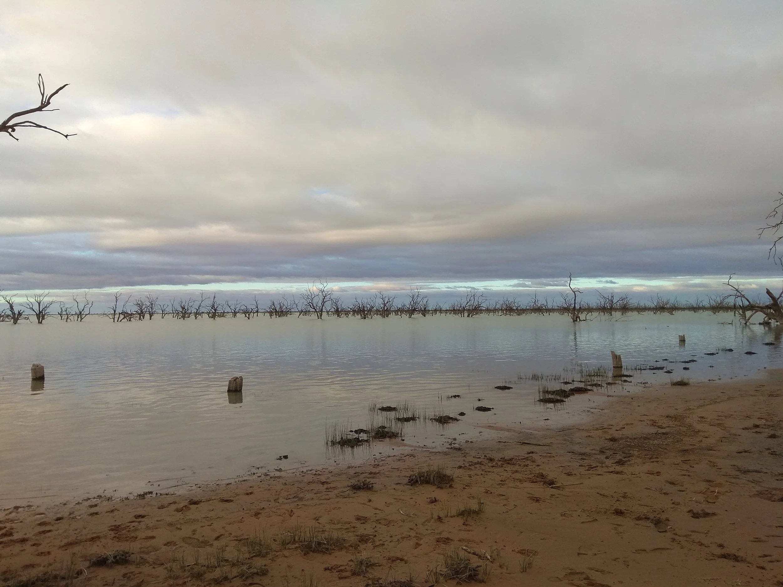 Amazing_lake_menindee.jpg
