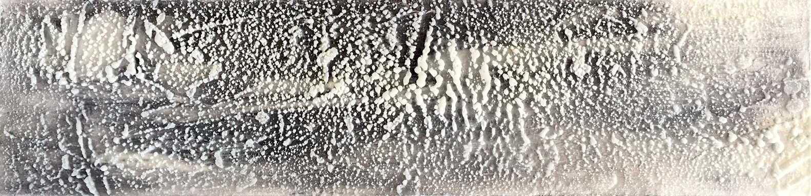 landscape 6x24