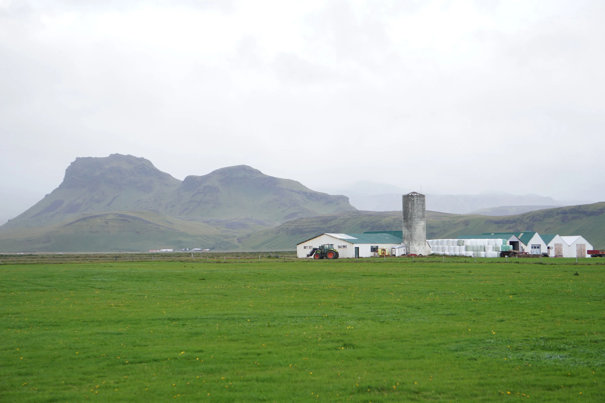 DSC08616.JPG