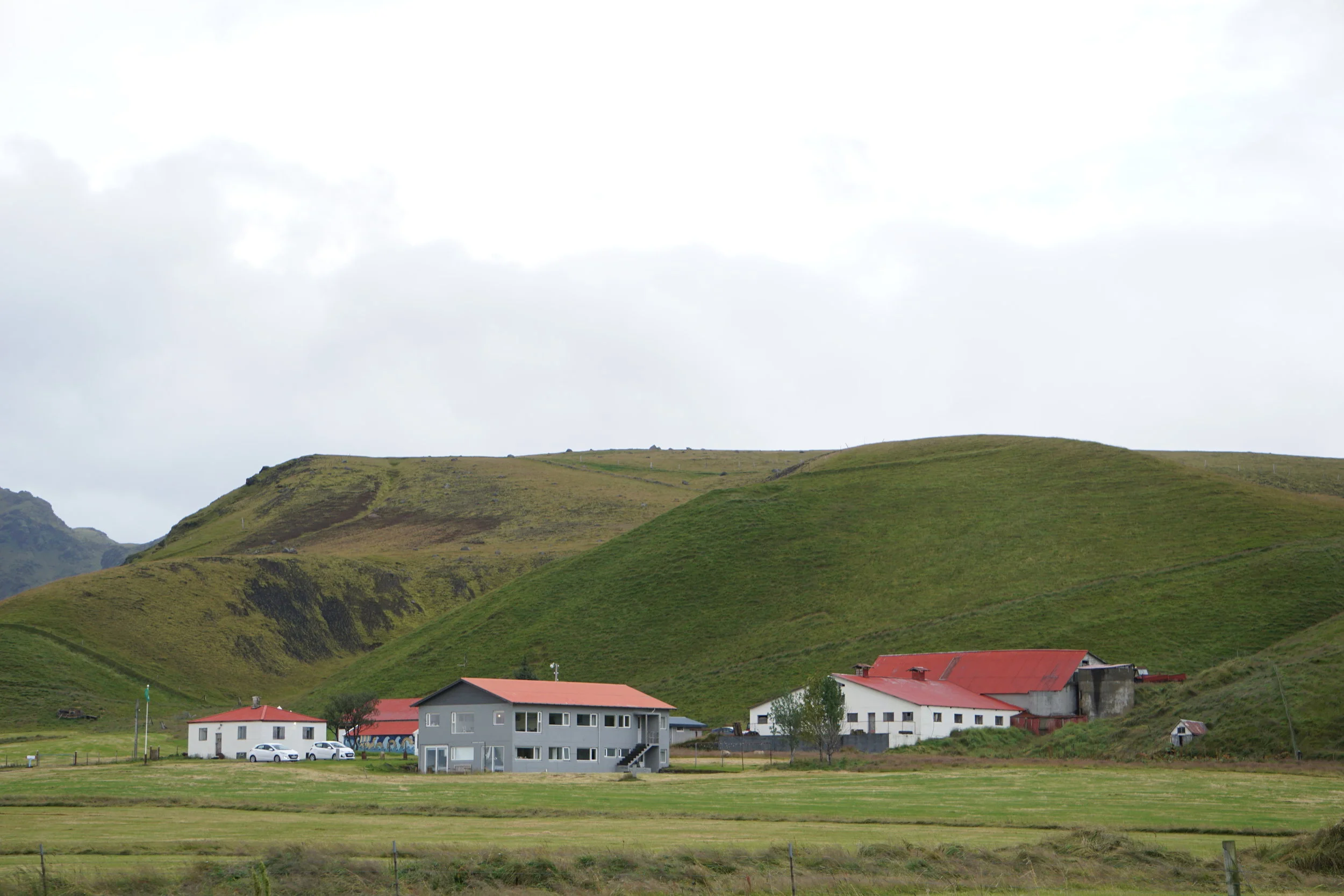 DSC08702.JPG