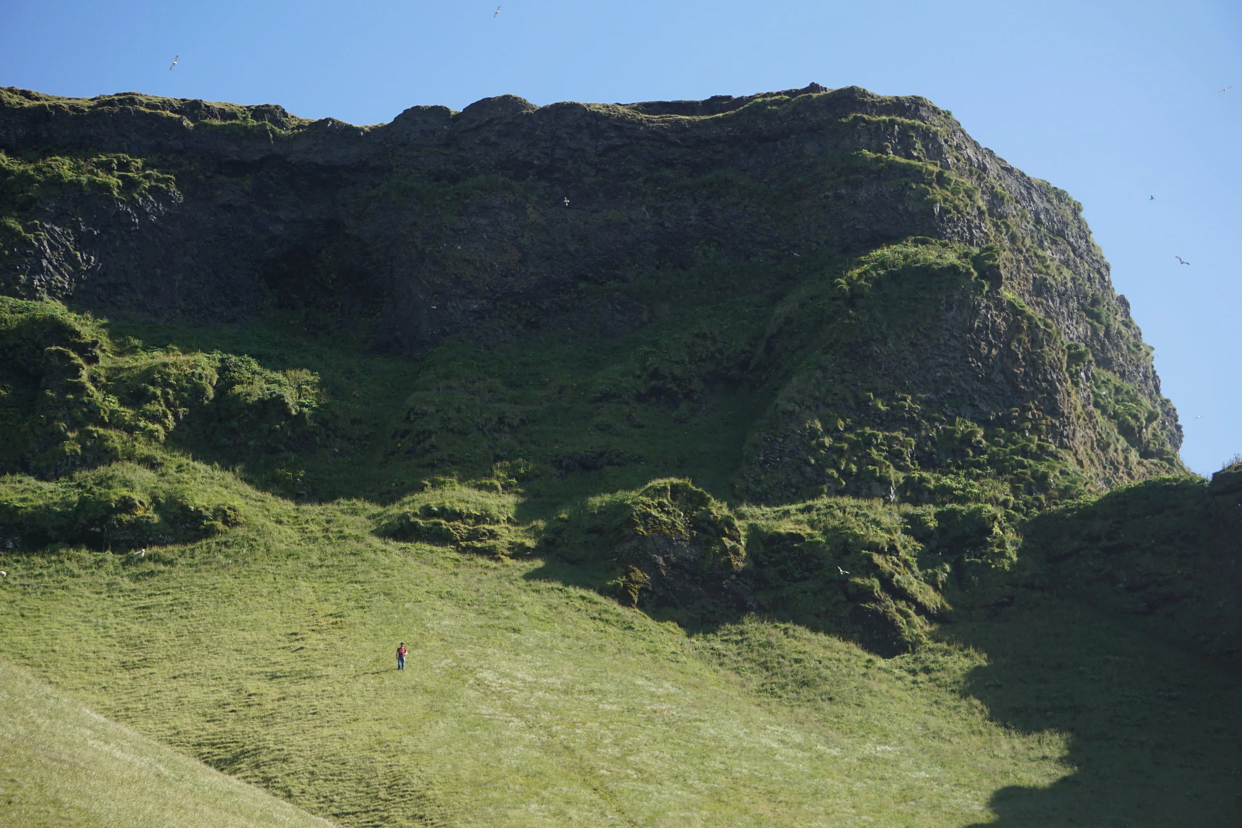DSC09248.JPG