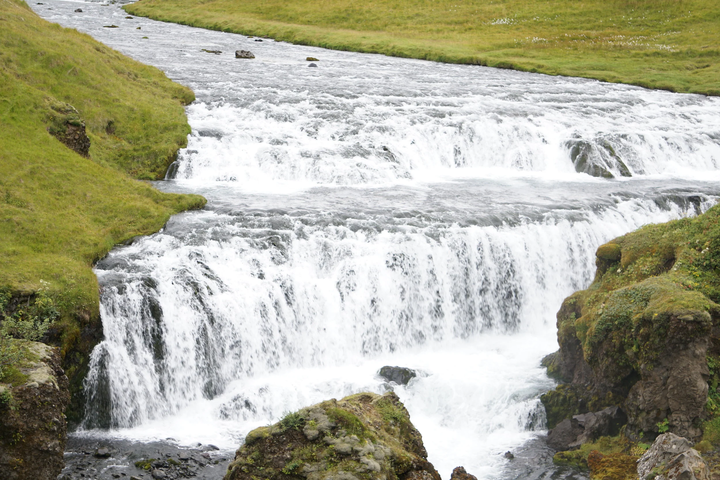 DSC09822.JPG