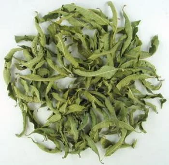 Lemon_Verbena1.jpg