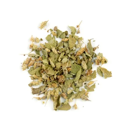 H157-mexican-oregano-dried-herb-main.jpg