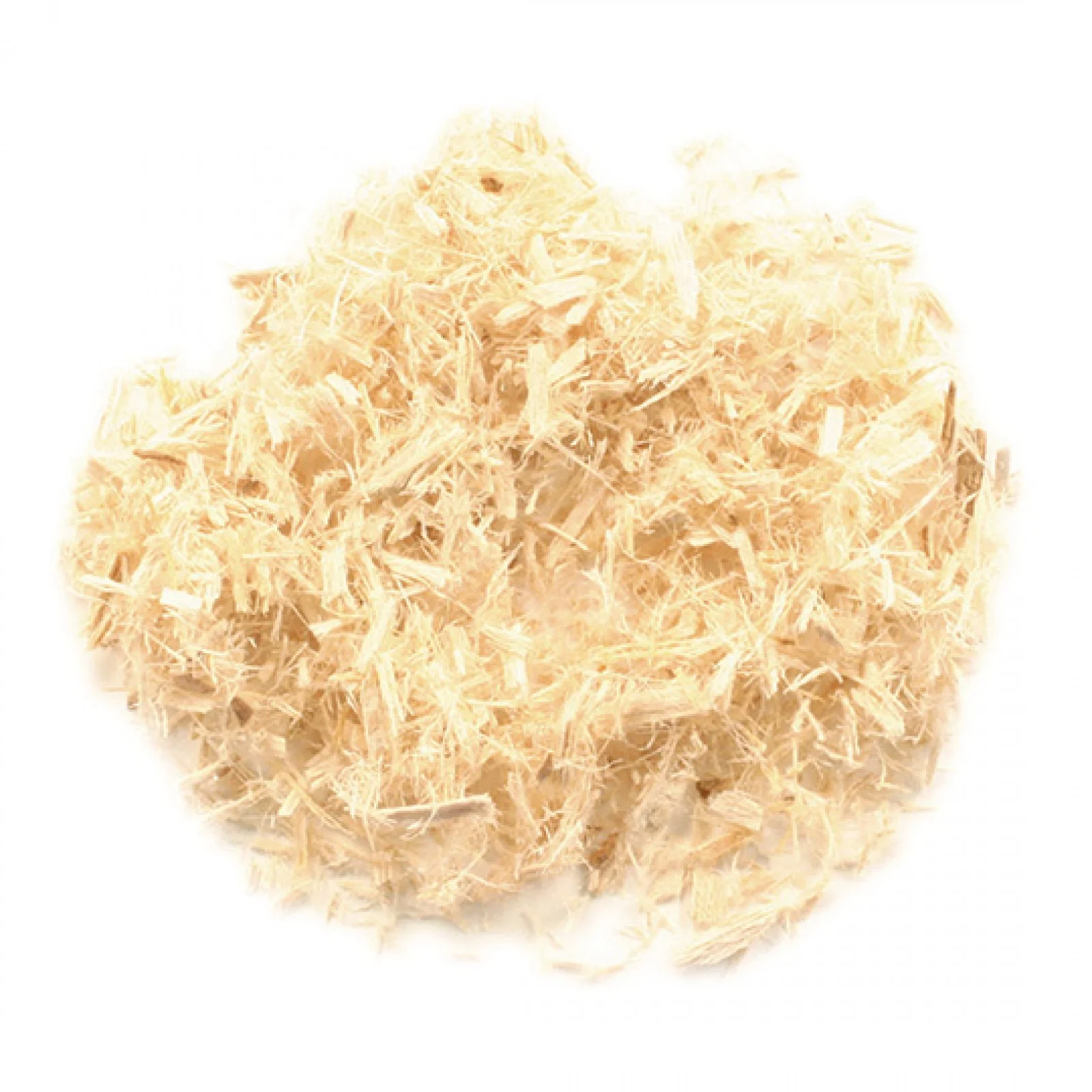 Slippery-Elm.jpg