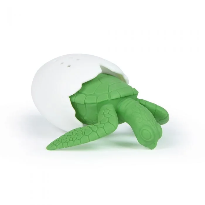 a turtkle.jpg