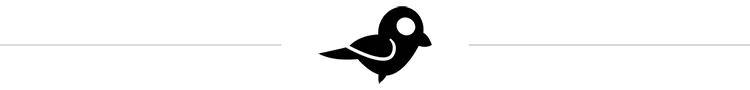 insert+bird.jpg