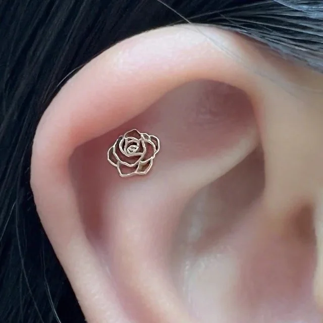 rosette 2 Medium.jpeg