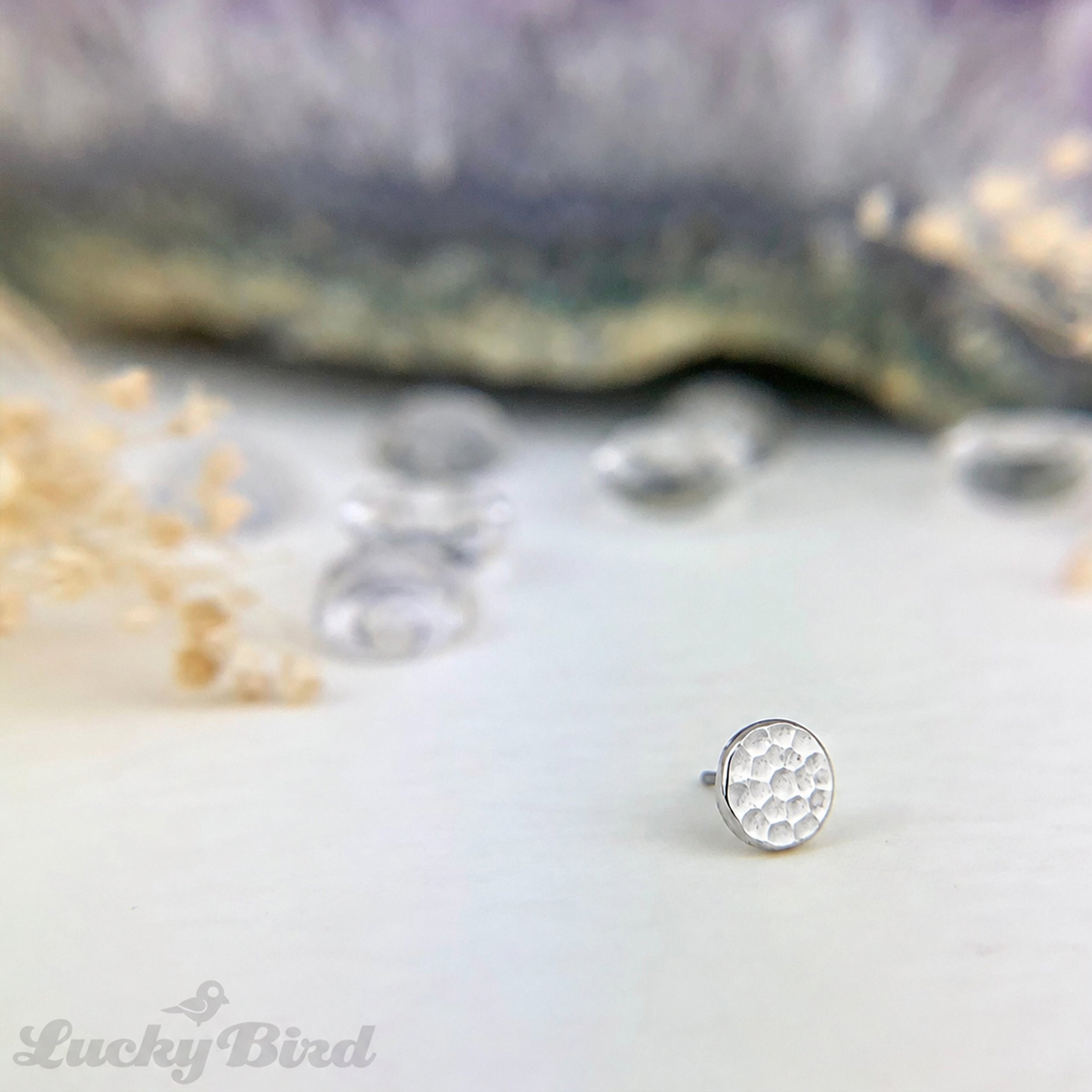 hammered disk white copy.jpg