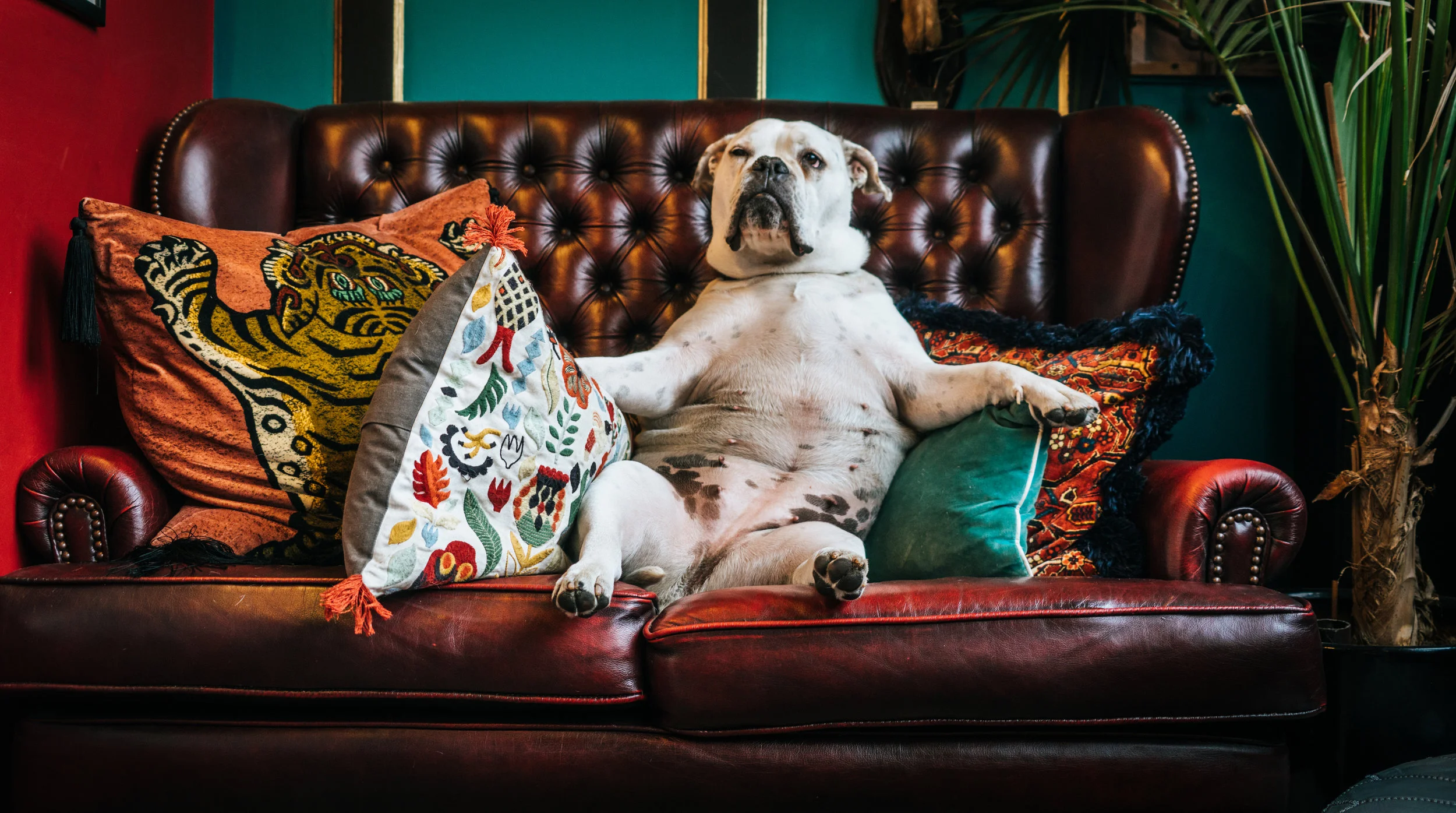 The Startup Therapy Couch™: The 85/15 Rule