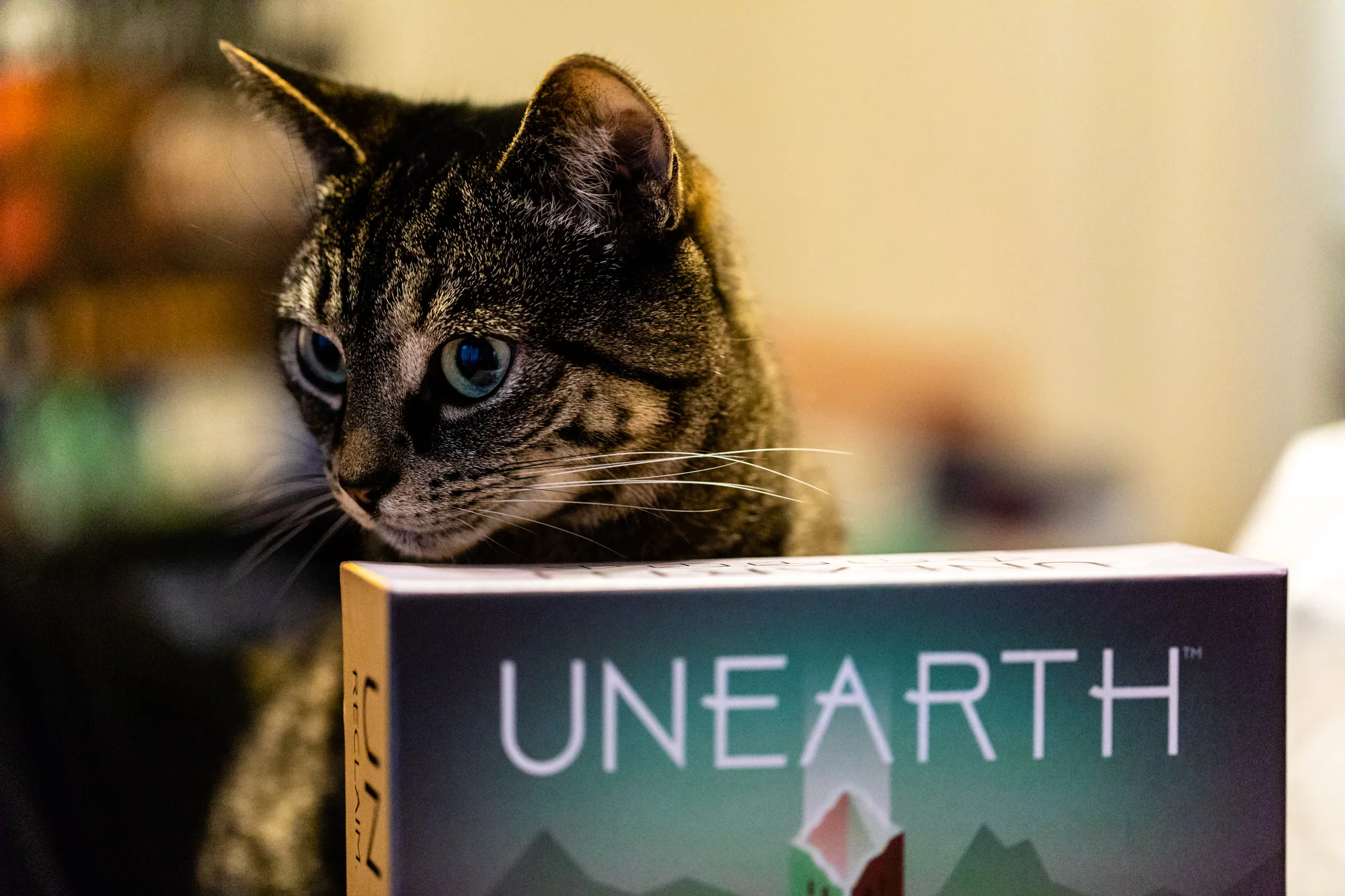 Blog Unearth 02-5.jpg