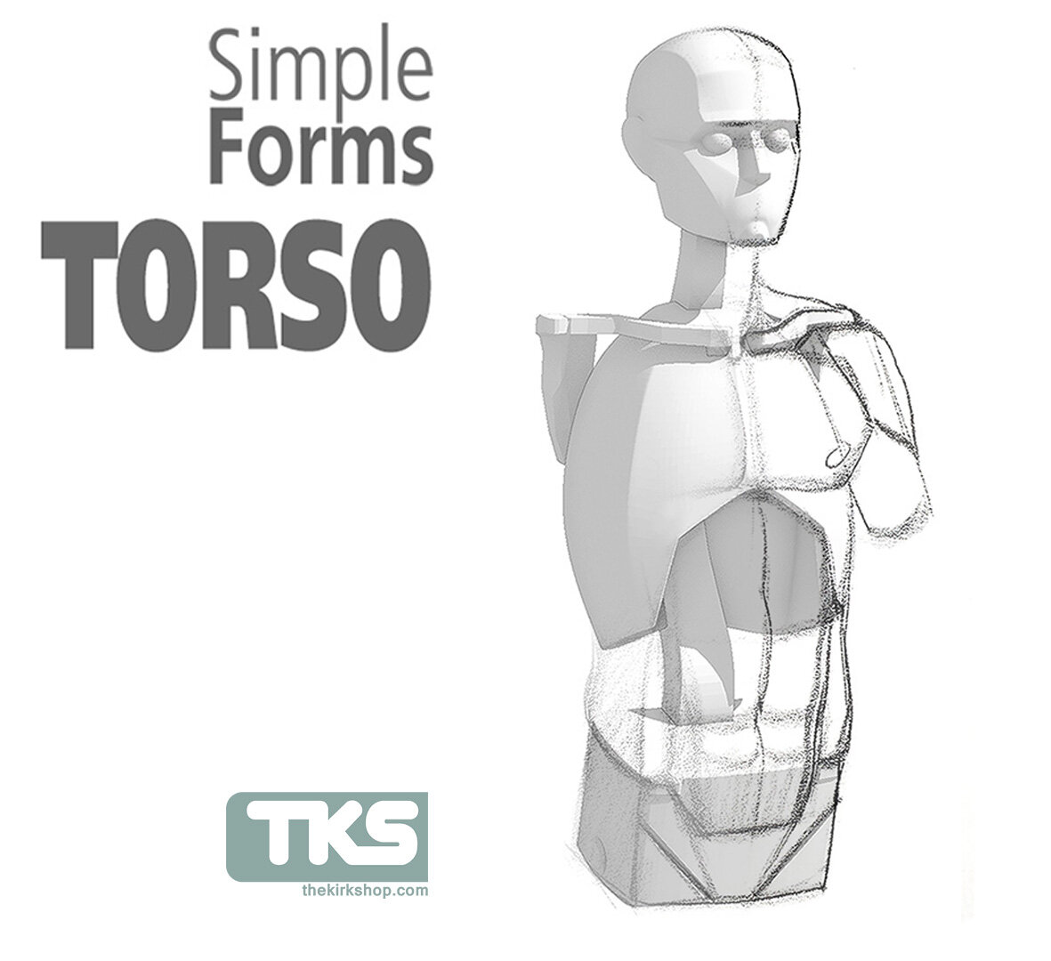 simple forms torso.jpg