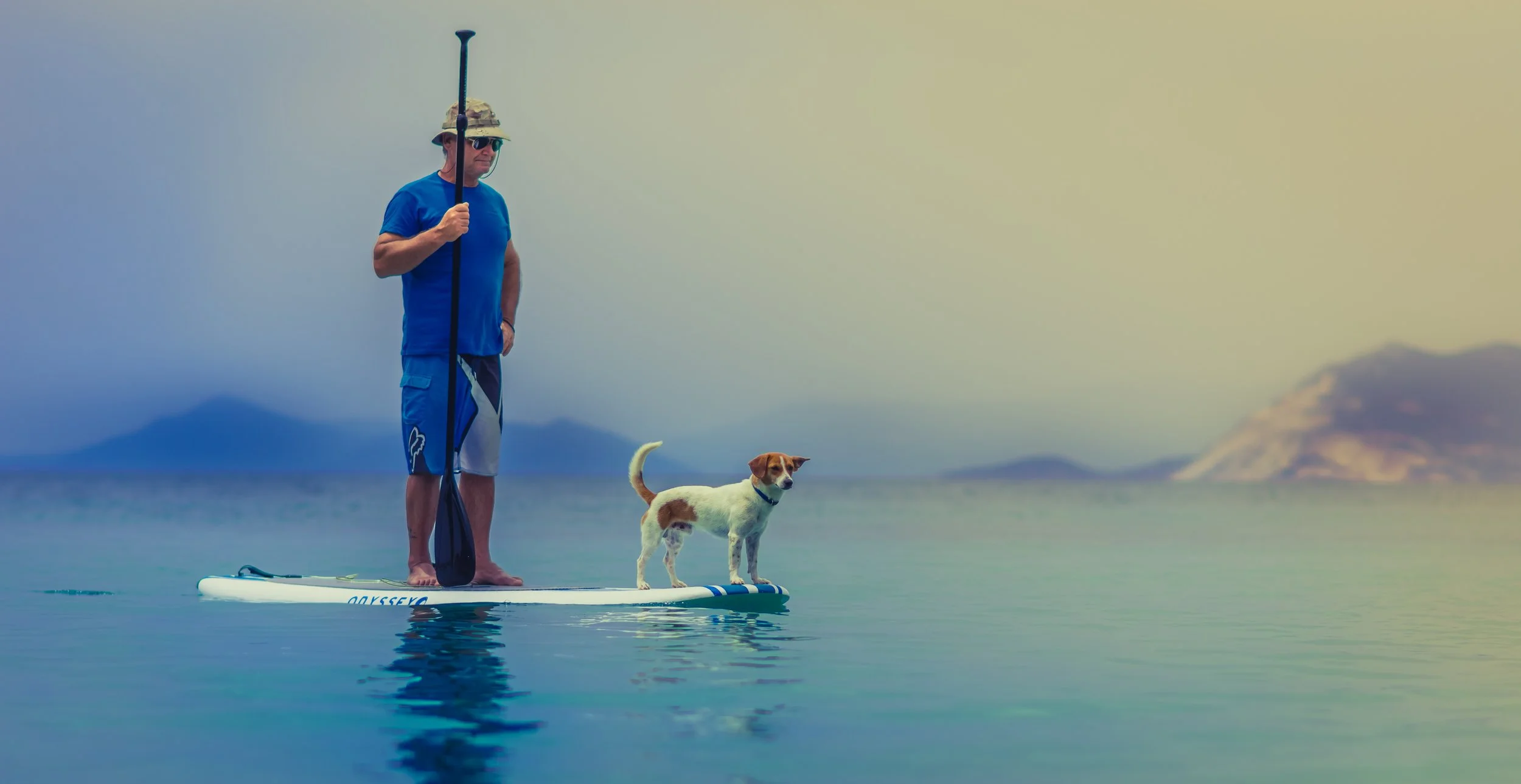 alex-dog on paddle board-105349-unsplash.jpg