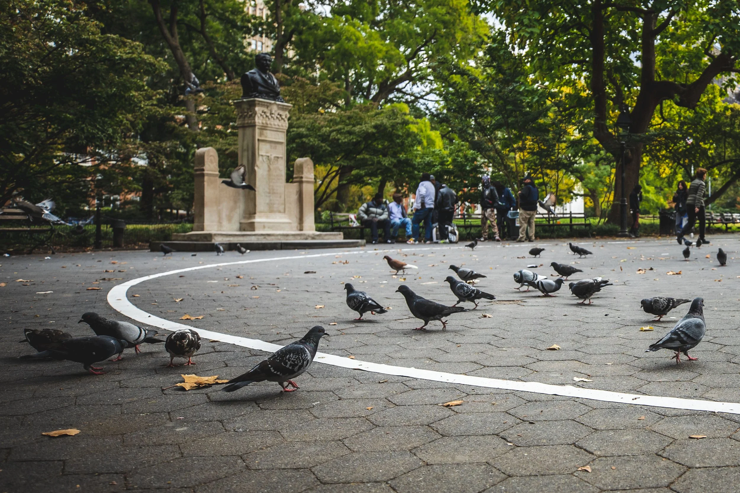 NY_4X1A4504.jpg