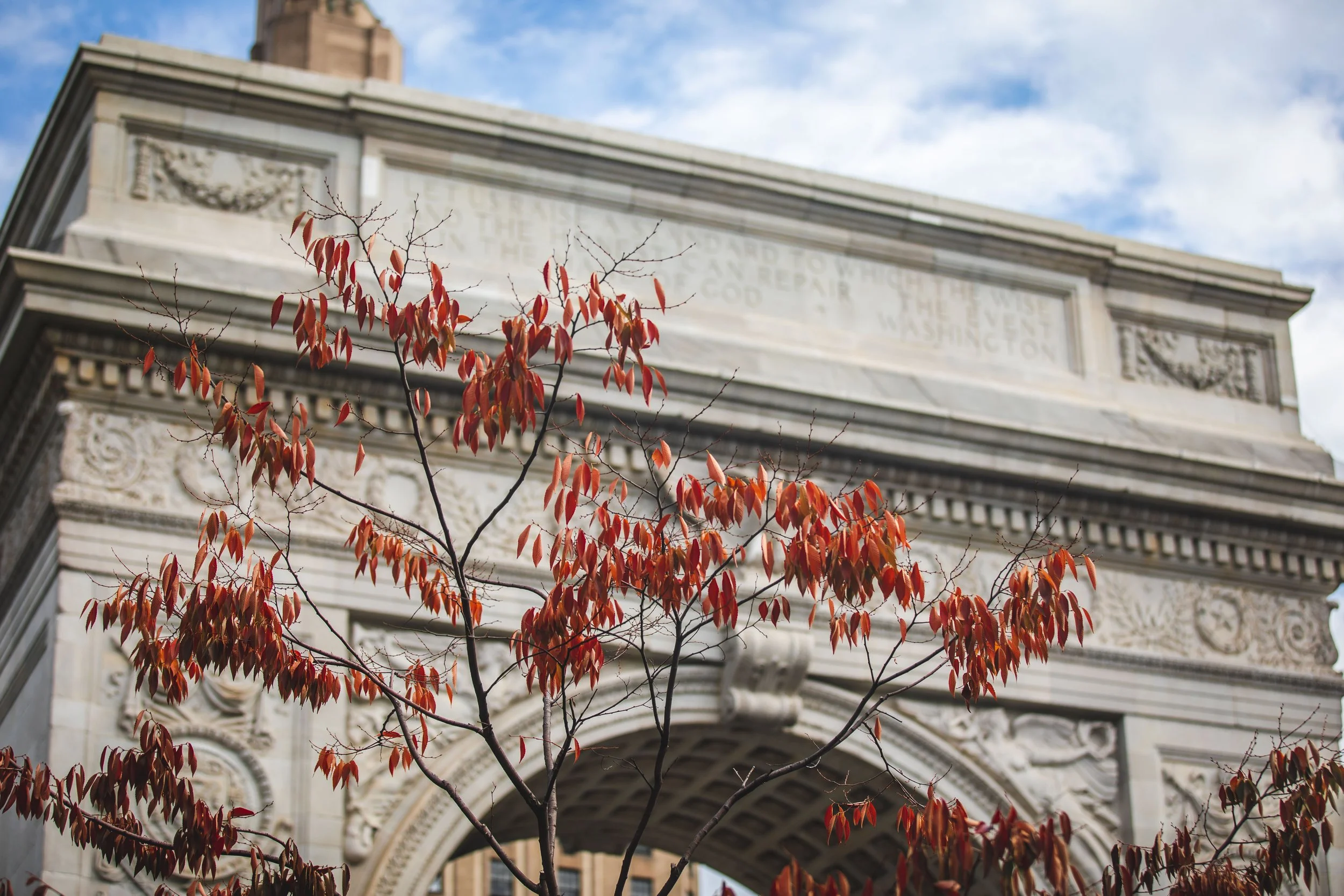 NY_4X1A4528.jpg