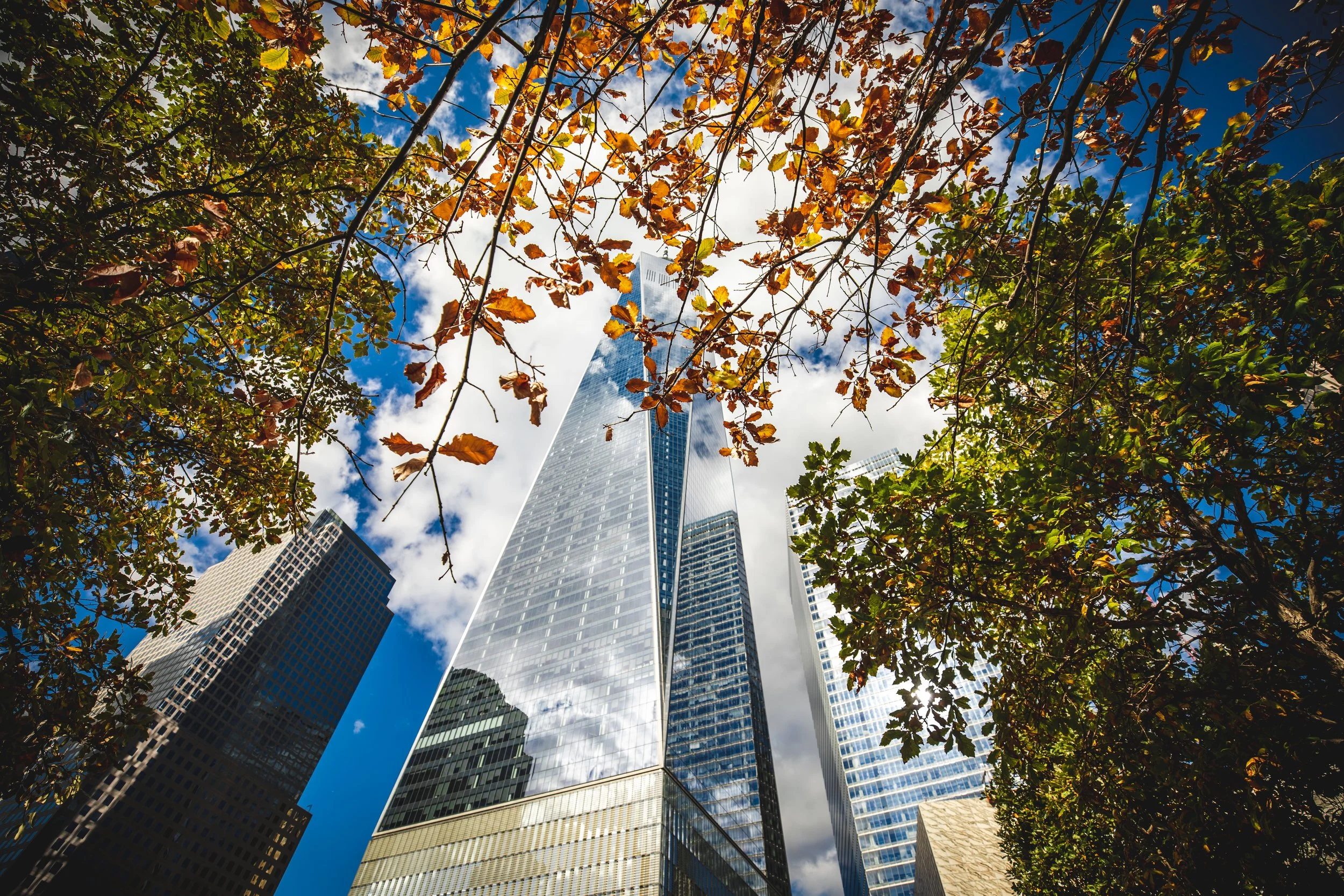 NY_4X1A4926.jpg