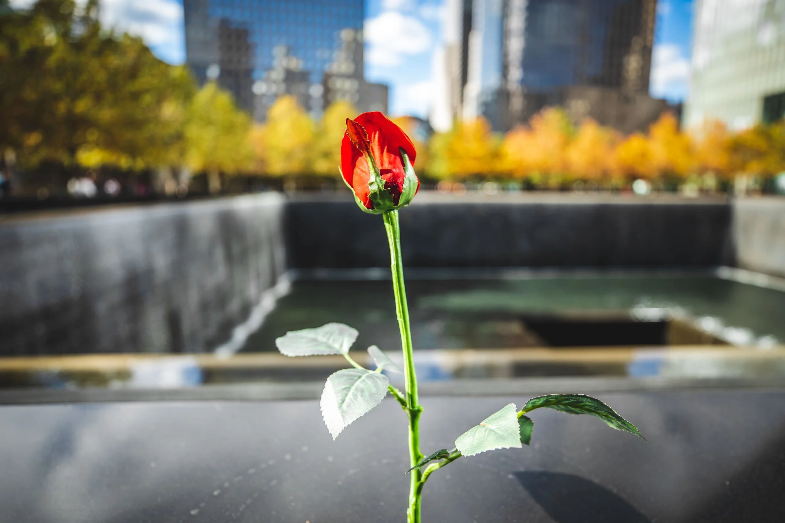 NY_4X1A4931.jpg