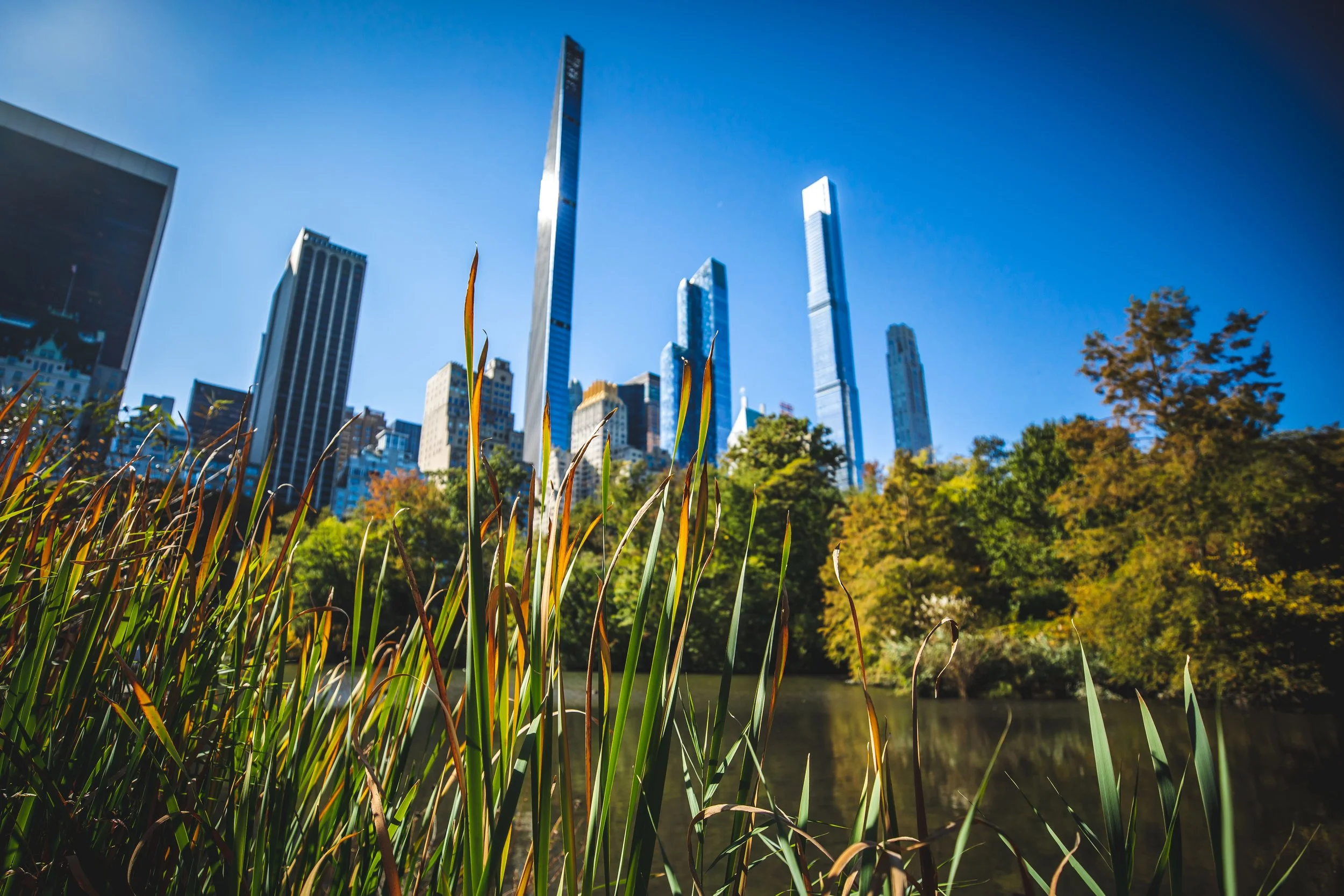 NY_4X1A5020.jpg