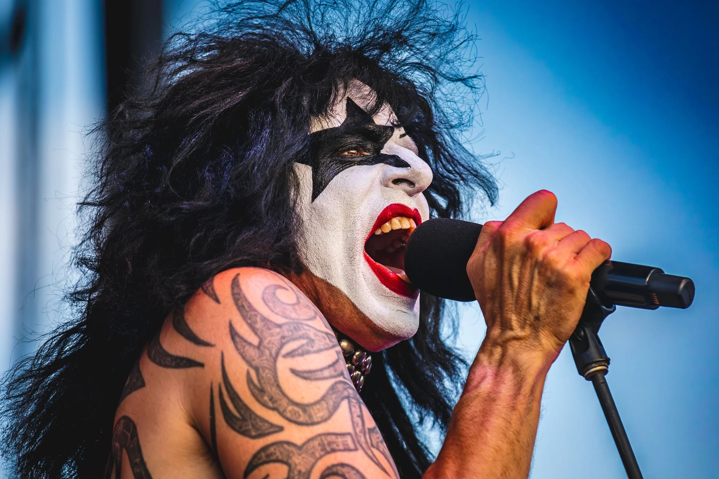 Hairball_4X1A0325.jpg