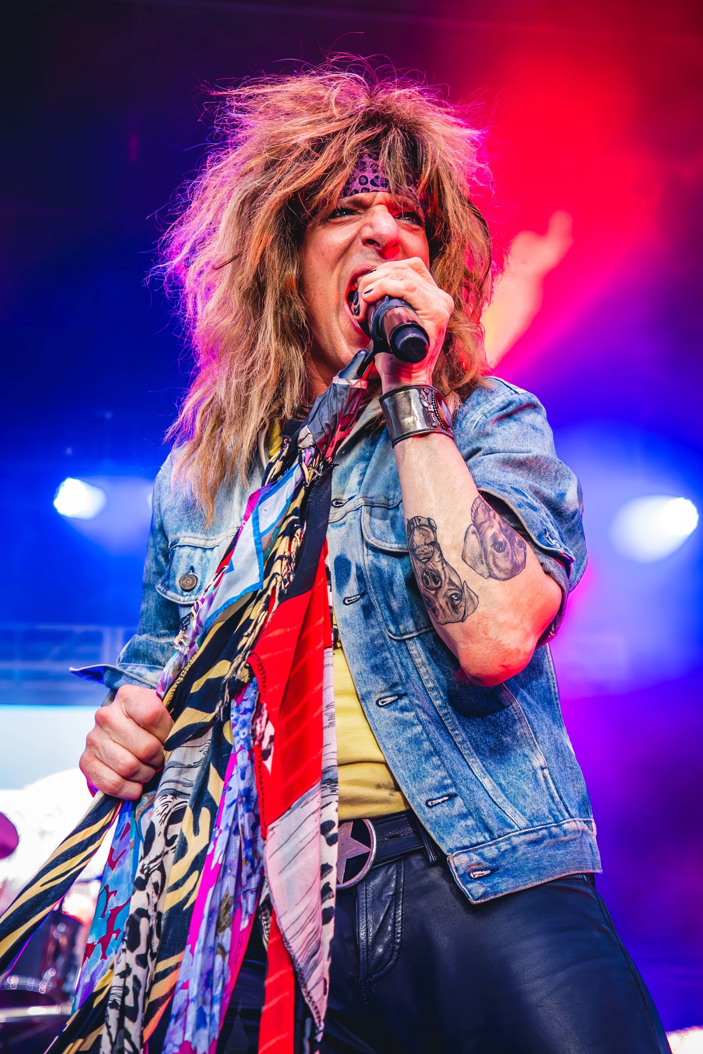 Hairball_4X1A0993.jpg