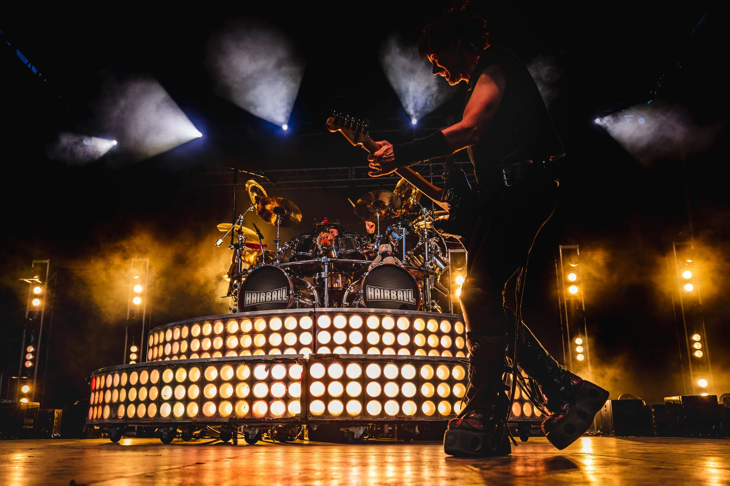Hairball_4X1A1231.jpg